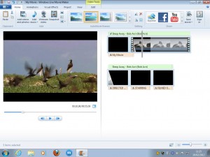 Windows Live Movie Maker Montage